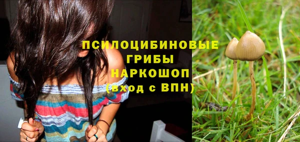 амфетамин Козельск