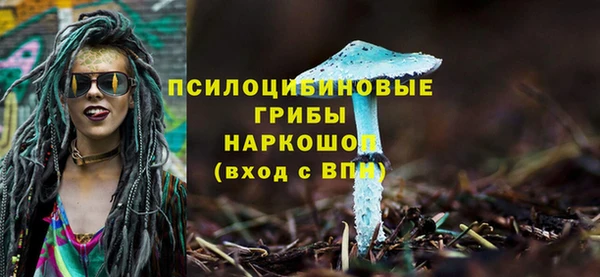 MDMA Козловка
