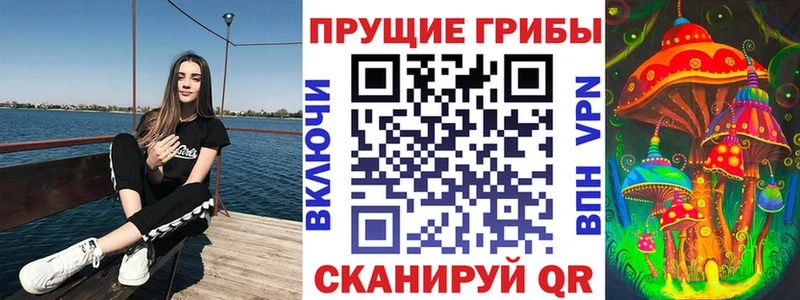 гидра ссылки  Кировград  Псилоцибиновые грибы Cubensis  как найти наркотики 